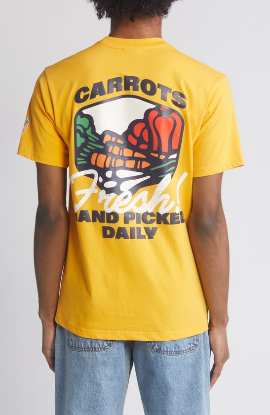 Shop Carrots By Anwar Carrots Hand Picked Cotton Graphic T-shirt In Squash