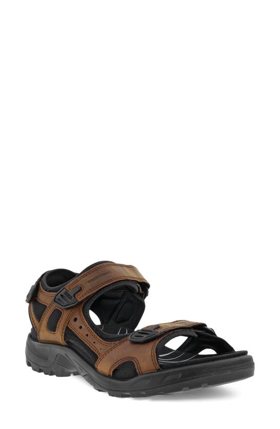 Shop Ecco Yucatan Plus Sandal In Sierra