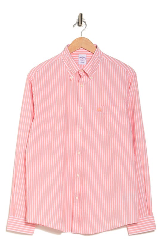 Brooks Brothers Sport Fit Bengal Stripe Cotton Button-down Dress Shirt In Coral Bengal