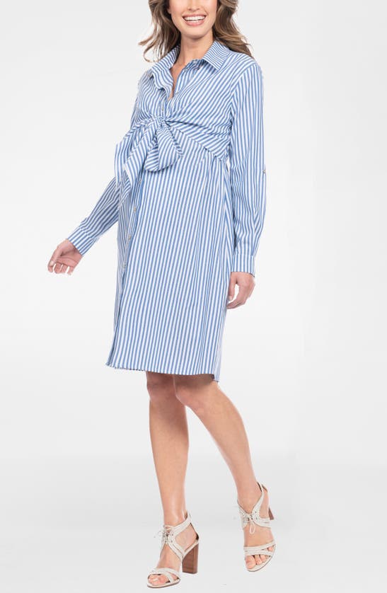 Shop Seraphine Stripe Long Sleeve Maternity/nursing Shirtdress In Blue Stripe