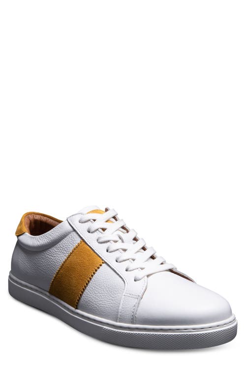 Shop Allen Edmonds Courtside Sport Sneaker In White/yellow