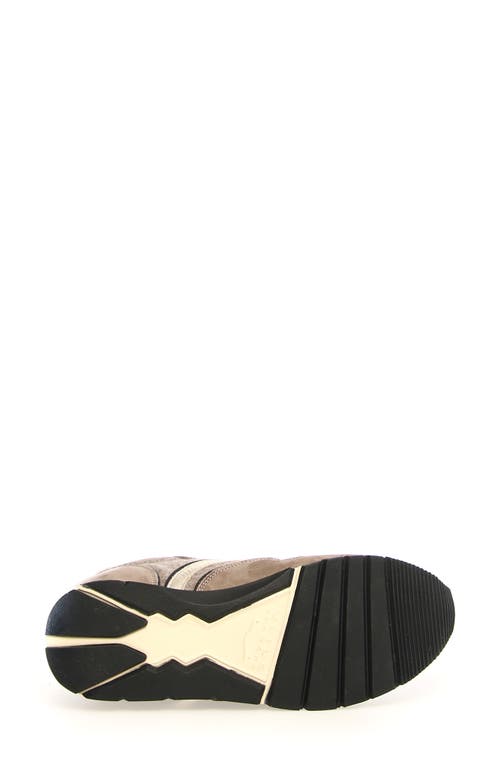 Voile Blanche Julia Genuine Shearling Sneaker In Taupe Beige