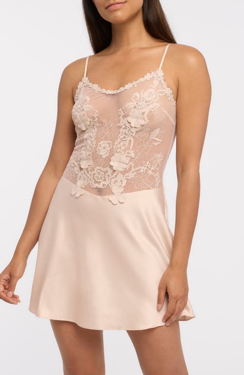 Lisbon Lace & Mesh Chemise in Champagne