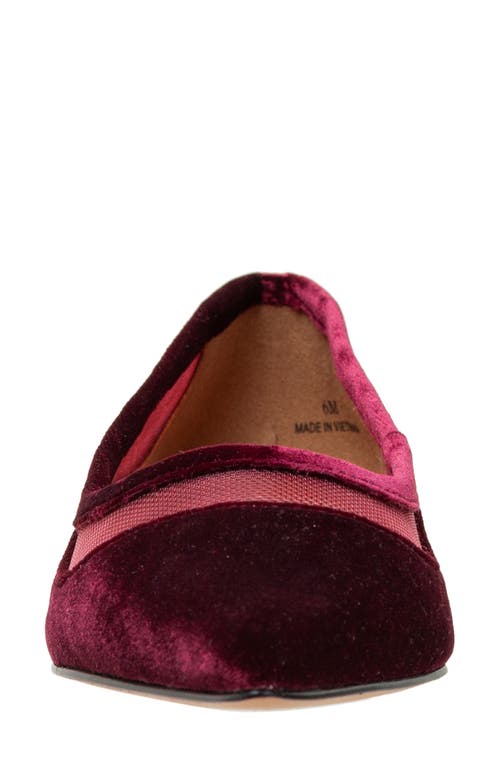 Linea Paolo Novah Pointed Toe Flat In Burgundy