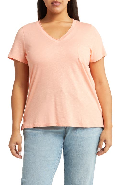 caslon(r) Short Sleeve V-Neck T-Shirt in Coral Pink