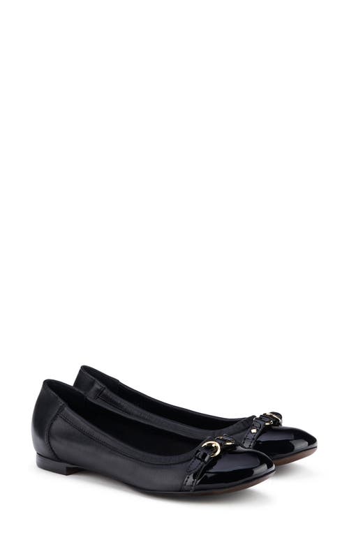 AGL Monika Cap Toe Ballet Flat Black With Gold Buckle at Nordstrom,