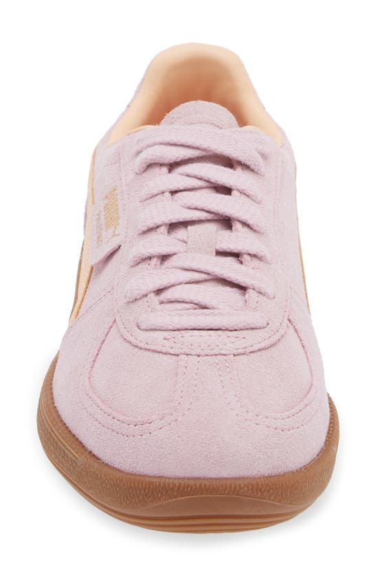 Shop Puma Palermo Leather Sneaker In Grape Mist-peach Fizz
