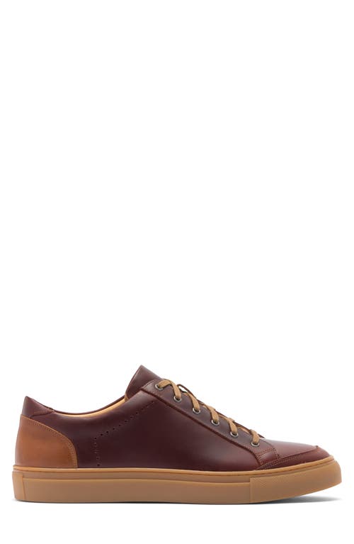 Warfield & Grand Rockcastle Low Top Sneaker In Chestnut