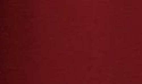 Stine Goya Pleated Wide Leg Long Pants In Bordeaux In Bordeaux