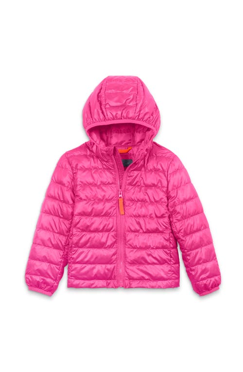 Shop Primary Kids Lightweight Puffer Jacket In Fuchsia