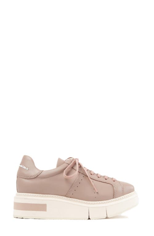 Shop Paloma Barceló Paloma Barcelo Agen Sneaker In Medium Purple/mauve