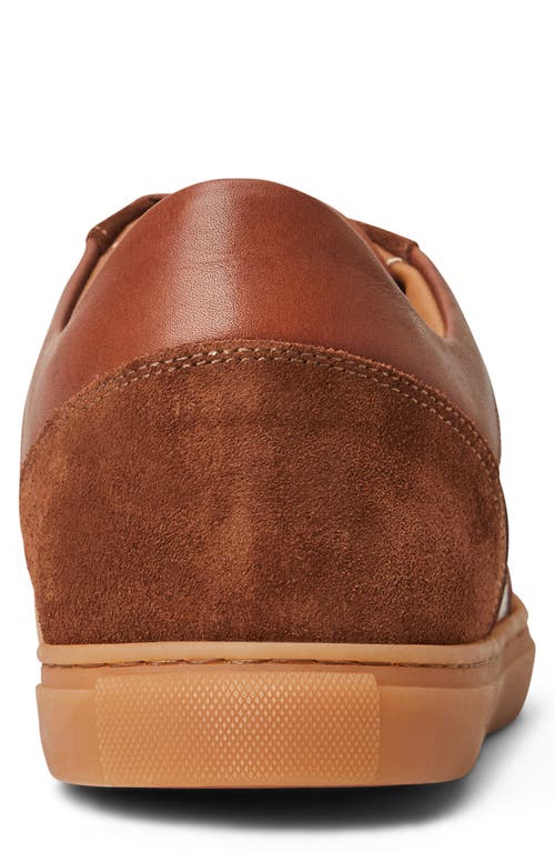 Shop Bruno Magli Baccio Sneaker In Cognac