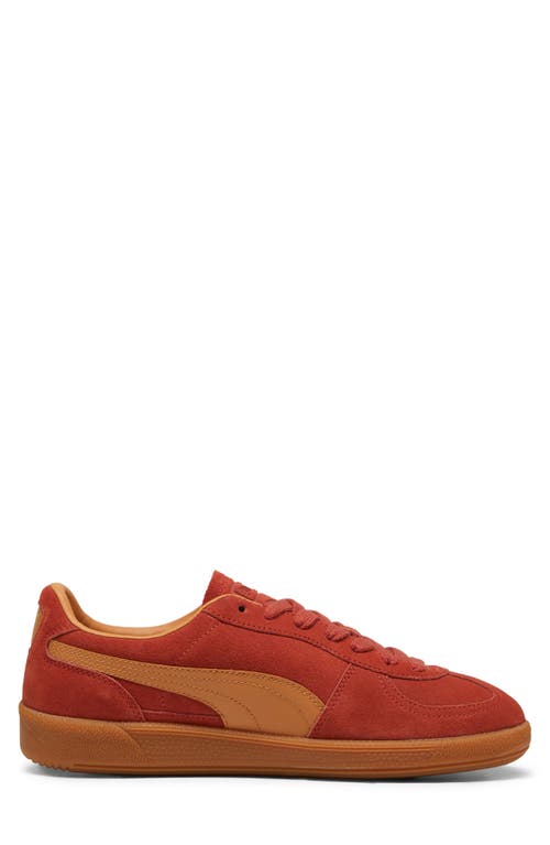 Shop Puma Palermo Sneaker In Mars Red-caramel Latte-gum