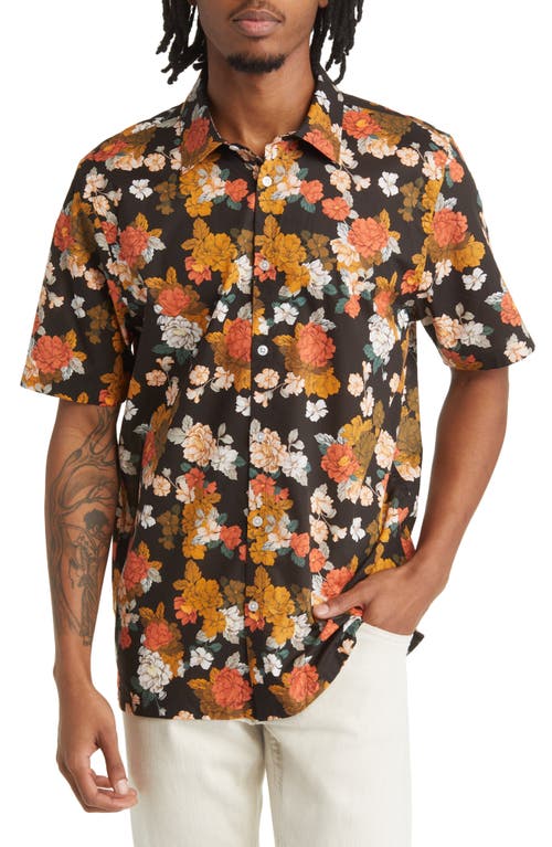 Good Man Brand Big On-Point Short Sleeve Stretch Organic Cotton Button-Up Shirt in Black Tuscan Floral