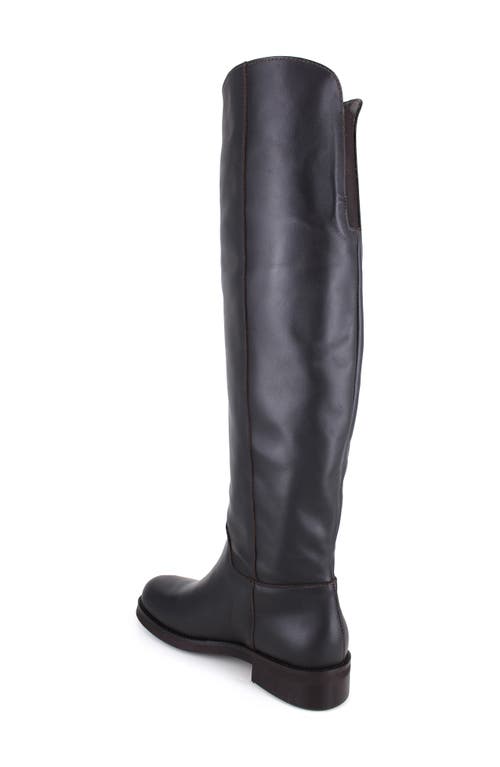 Shop Ziginy Sansa Knee High Boot In Brown