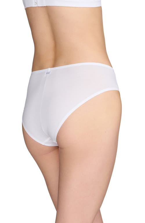Cuup The Cotton Briefs In Salt