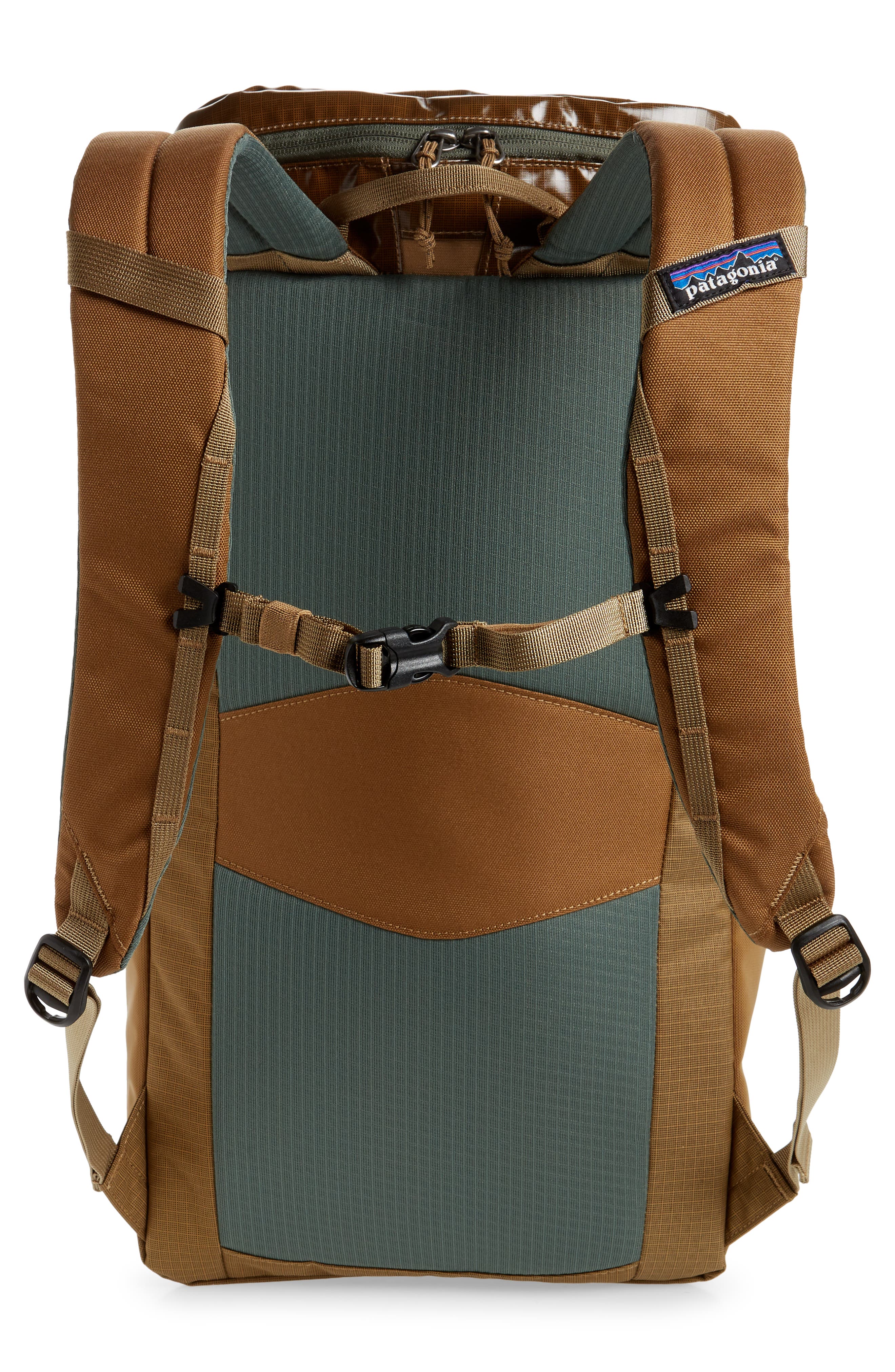 patagonia buckled backpack