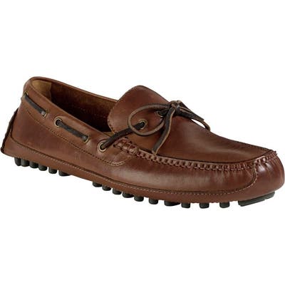 Cole Haan
