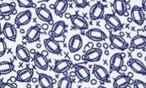 DAVID DONAHUE DAVID DONAHUE FOOTBALL PRINT COTTON TWILL HIDDEN BUTTON-DOWN SHIRT 
