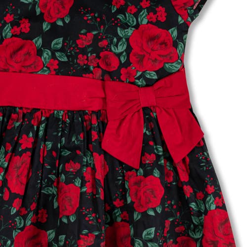 Shop Hope & Henry Baby Girls' Organic Ruffle Collar Party Dress, Infant In Black Holiday Rose