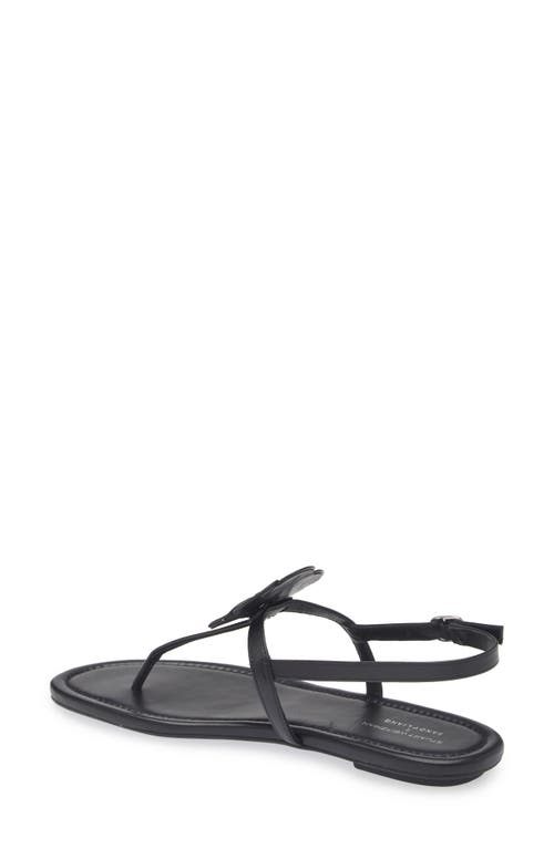Stuart Weitzman X Sandy Liang T-strap Slingback Sandal In Black Smooth Calf