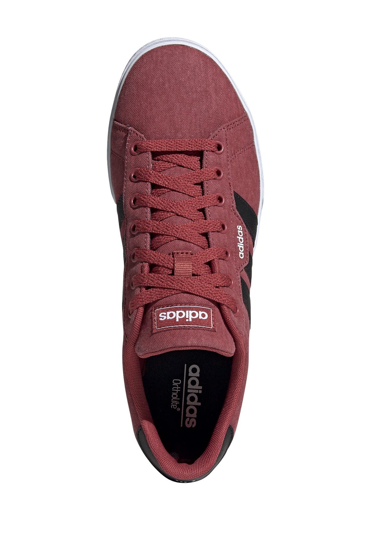 adidas daily canvas
