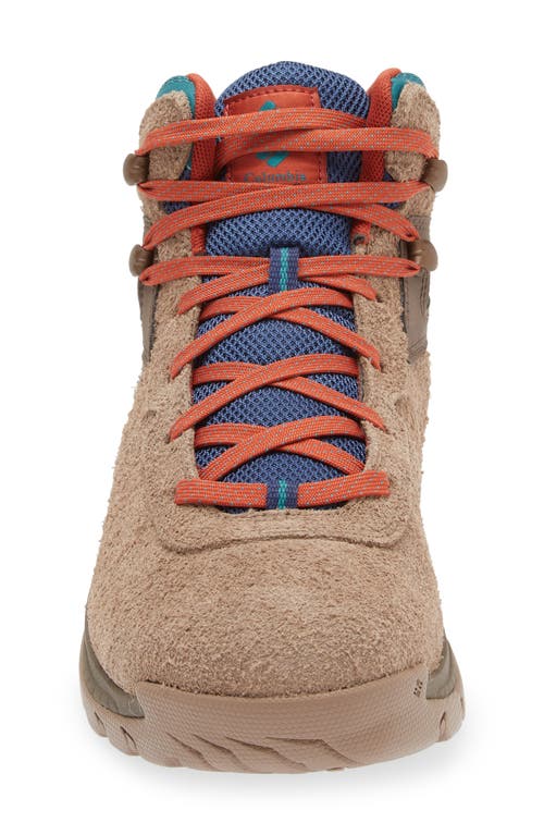 Shop Columbia Newton Ridge™ Bc Hiking Boot In Ash Brown/waterfall