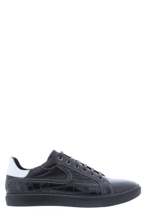 Shop Robert Graham Uffizi Sneaker In Black