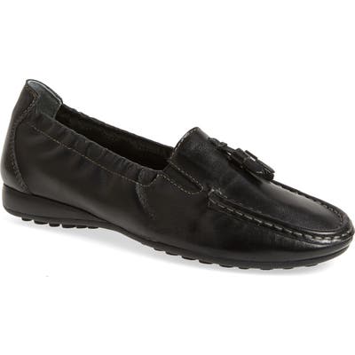 David Tate Hypnotic Loafer, Black