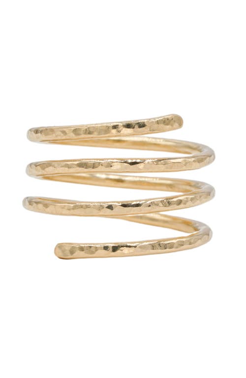 Albisia Spiral Ring In 14k Gold Filled