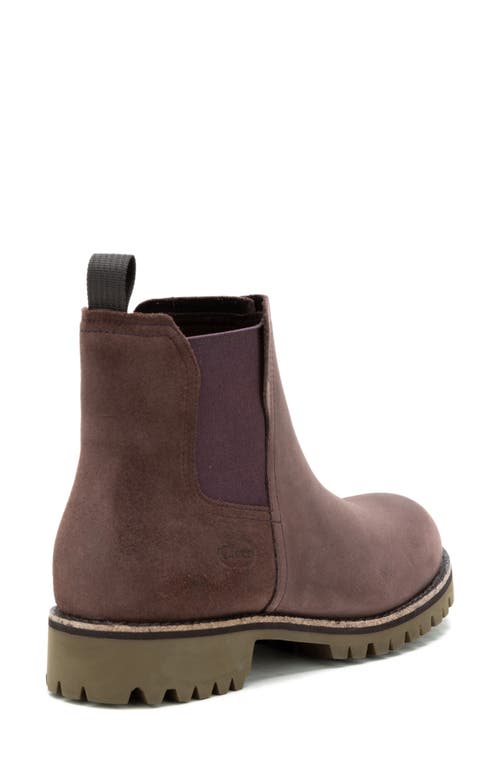 Chaco Fields Waterproof Chelsea Boot In Chocolate Merlot