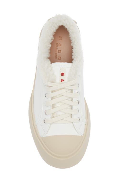 Shop Marni Pablo Genuine Shearling Lined Low Top Sneaker In White Combo