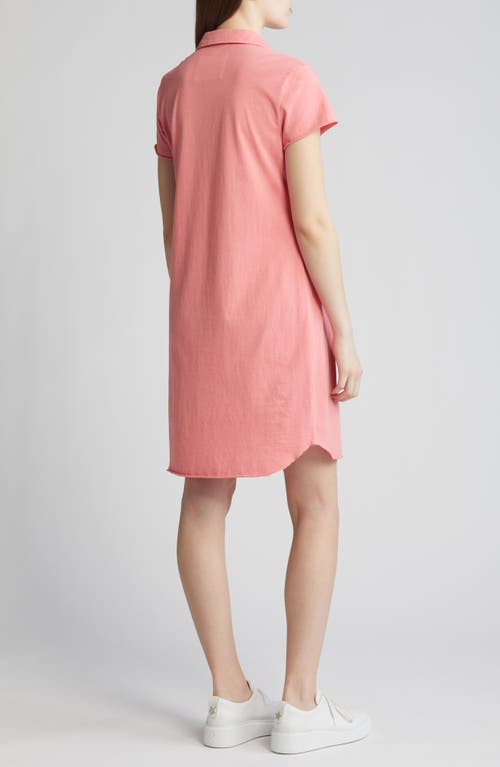 Shop Frank & Eileen Lauren Polo Dress In Watermelon