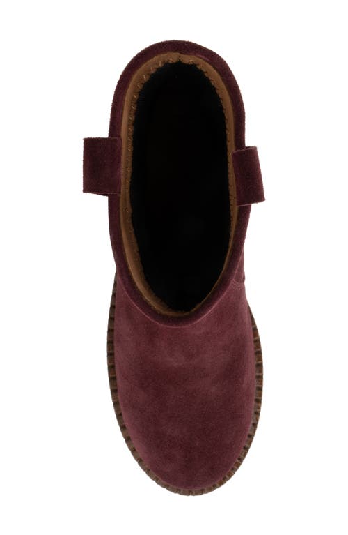 Shop Bueno Olina Bootie In Merlot Suede