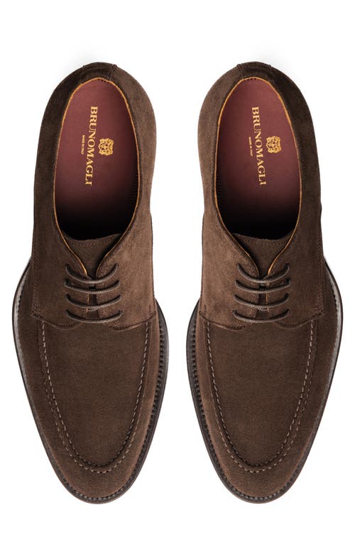 Shop Bruno Magli Santino Oxford In Brown Suede