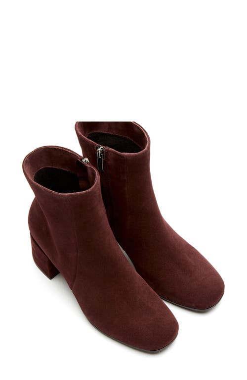 Shop La Canadienne Joanie Waterproof Bootie In Wine Suede