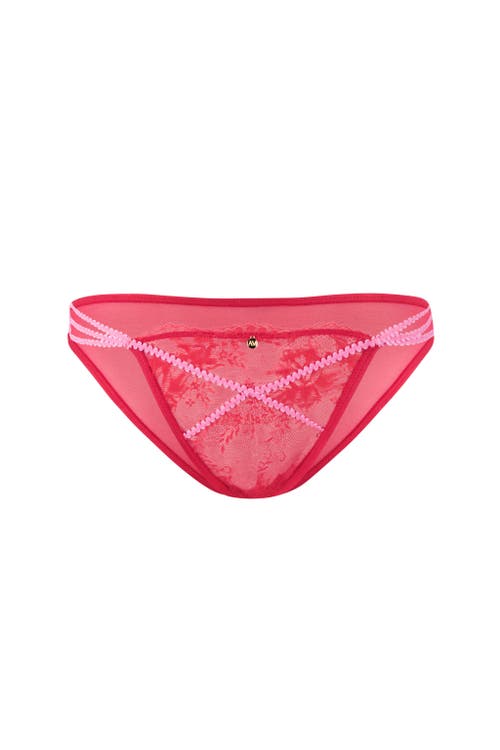 Shop Adore Me Suki Bikini Panties In Dark Red