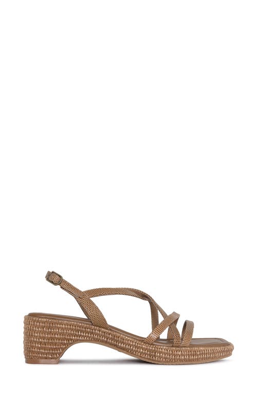 Shop Donald Pliner Slingback Sandal In Saddle