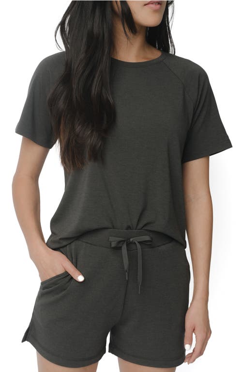 Cozy Earth Ultrasoft Raglan T-Shirt at Nordstrom,