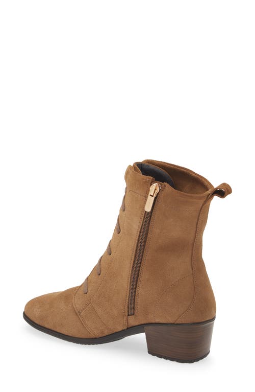 Shop Naot Majesty Lace-up Boot In Acorn Suede