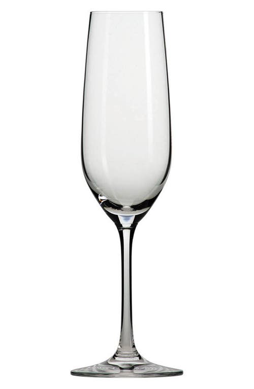 Schott Zwiesel Set of 6 Forte Champagne Flutes in Clear at Nordstrom