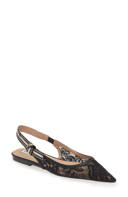 Shop Steve Madden Olsen Slingback Pointed Toe Flat In Black Lace