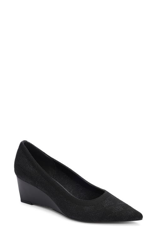 Sanctuary Perky Pointed Toe Wedge Pump Black at Nordstrom,