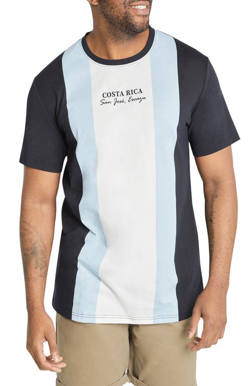 Vertical Stripe Colorblock Curve Hem Cotton T-Shirt in Sky