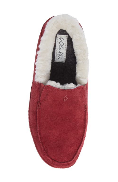 Olukai Ku'una Genuine Shearling Slipper In Lilikoi/lilikoi