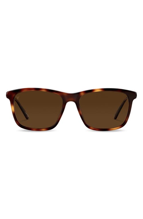Presley 56mm Polarized Rectangle Sunglasses in Rye Tortoise Brown
