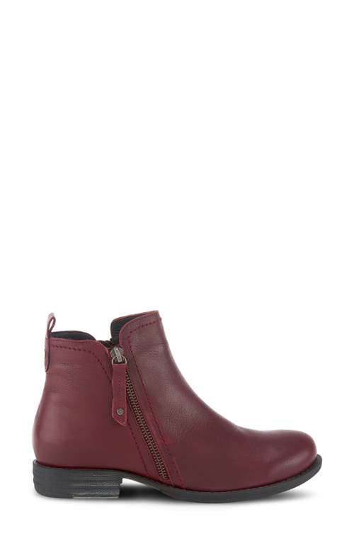 Shop Spring Step Oziel Bootie In Bordeaux Leather