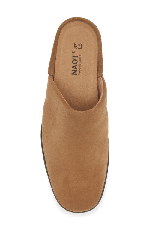 Shop Naot Dedicate Mule In Acorn Suede