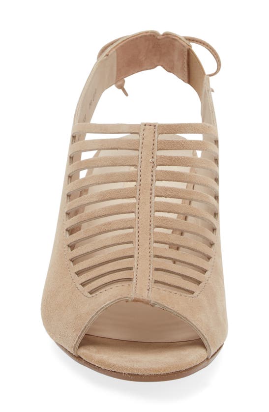 Shop Paul Green Talia Slingback Sandal In Champagne Suede