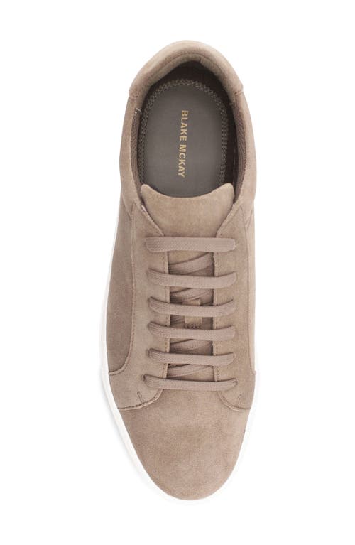 Blake Mckay Jay Low Top Sneaker In Cafe Suede